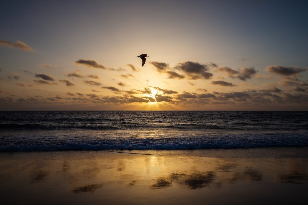 Fuerteventura 2020-5