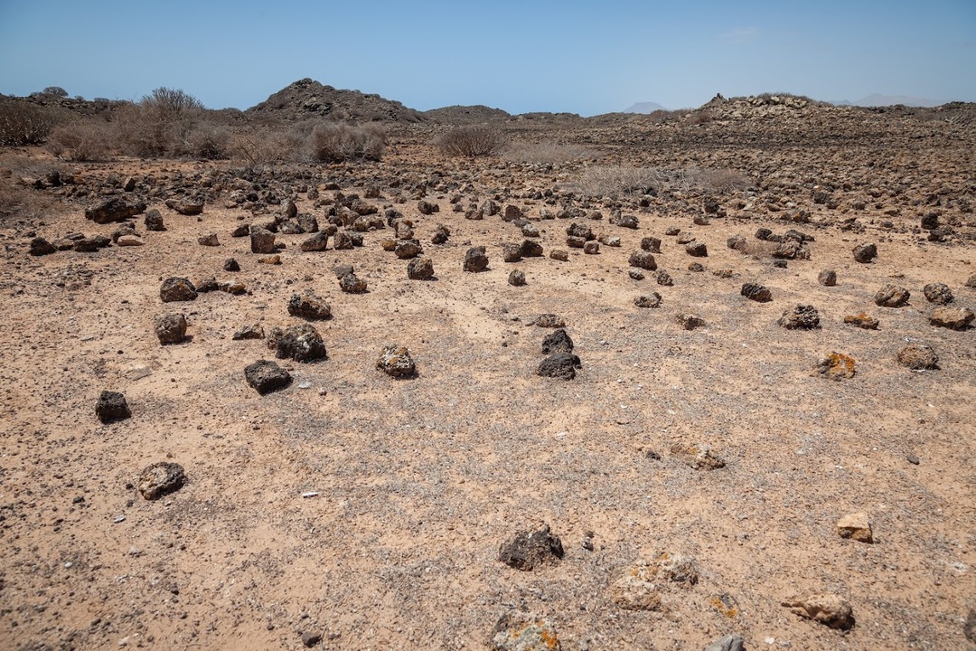 Fuerteventura 2020-6